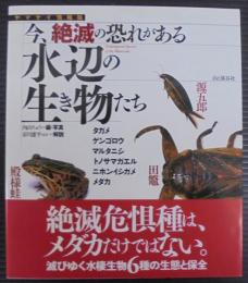 今、絶滅の恐れがある水辺の生き物たち : タガメ・ゲンゴロウ・マルタニシ・トノサマガエル・ニホンイシガメ・メダカ