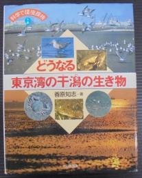 どうなる東京湾の干潟の生き物