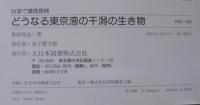 どうなる東京湾の干潟の生き物