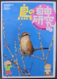 鳥の自由研究