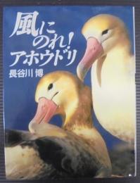 風にのれ!アホウドリ