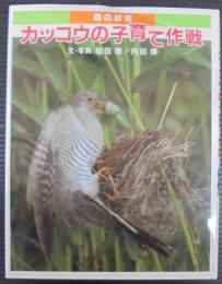カッコウの子育て作戦 : 鳥の研究