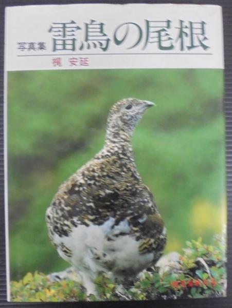 大日本歌書綜覧(福井久蔵 著) / あじさい堂書店 / 古本、中古本