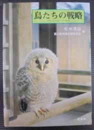 鳥たちの戦略