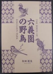 六義園の野鳥