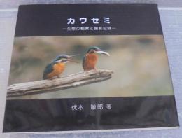 カワセミ : 生態の観察と撮影記録