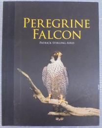 Peregrine Falcon