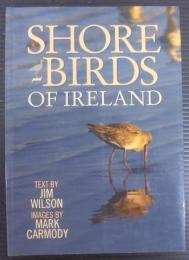 Shorebirds of Ireland 