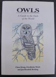 Owls 