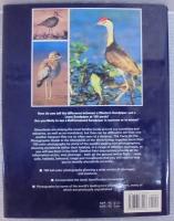 Photographic Guide to the Shorebirds of the World 