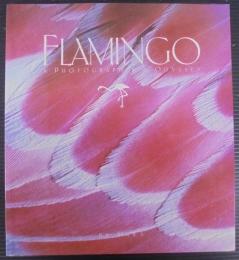 Flamingo: A Photographer's Odyssey 