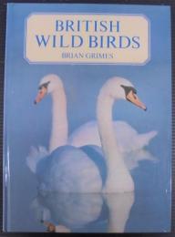 British Wild Birds