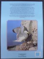 British Wild Birds