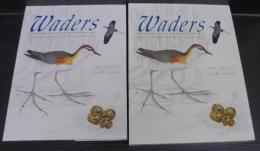Waders of Southern Africa