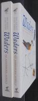 Waders of Southern Africa