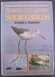 North Atlantic Shore Birds