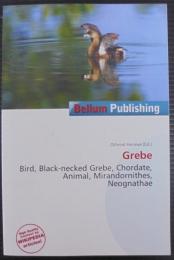 Grebe