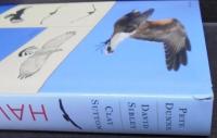 Hawks In Flight: Second Edition