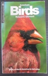 American Birds