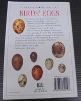 Birds' Eggs