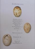 Birds' Eggs
