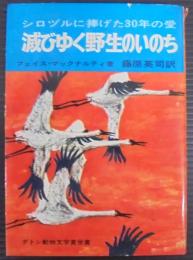 滅びゆく野生のいのち : シロヅルに捧げた30年の愛