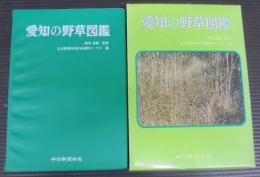 愛知の野草図鑑