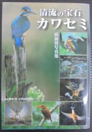 清流の宝石カワセミ : 廣瀬博写真集