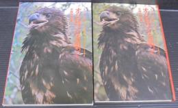まぼろしの鳥オジロワシを追って