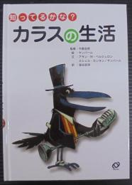 知ってるかな?カラスの生活