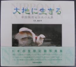 大地に生きる　中国陜西省洋県の朱鷺