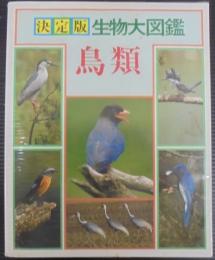 鳥類