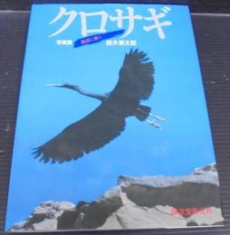 クロサギ : 海辺に舞う 写真集