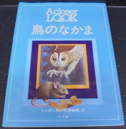 鳥のなかま