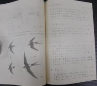 熊野灘沿岸の鳥類　ーテキストー