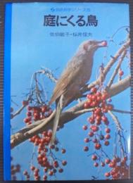 庭にくる鳥