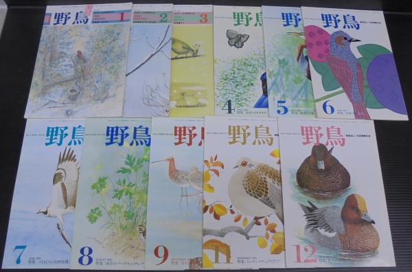 愛知県史 資料編34 近代11 教育(愛知県史編さん委員会編