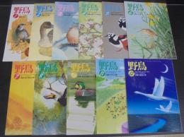 野鳥　1993年　第58巻第1号（№554）～第12号（№564　計11冊