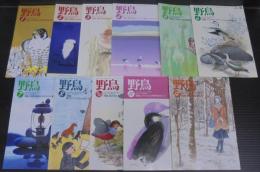 野鳥　2001年第66巻第1号（№638）～第12号（№648）　計11冊