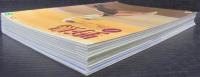 野鳥　2004年　第69巻第1号（№671）～第12号（№681）　計11冊