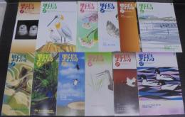 野鳥　2007年　第72巻第1号（№706）～第12号（№717）　計12冊