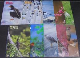 野鳥　2010年　第75巻第1号（№740）～第11号（№749）　計10冊