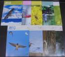 野鳥　2012年　第77巻第1号（№761）～第12号（№770）、第4号（№764）は欠　計9冊