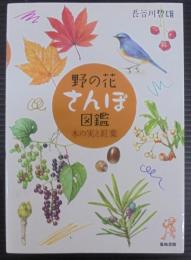 野の花さんぽ図鑑 : 木の実と紅葉