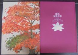 雑木盆栽大観