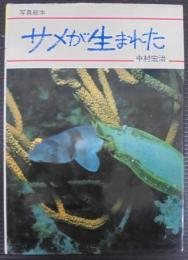 サメが生まれた