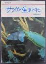 サメが生まれた ＜写真絵本＞