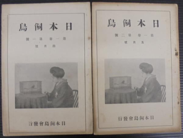 河川地理学(大矢雅彦 著) / あじさい堂書店 / 古本、中古本、古