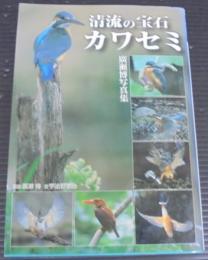 清流の宝石カワセミ : 廣瀬博写真集