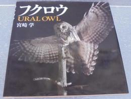フクロウ : Ural owl